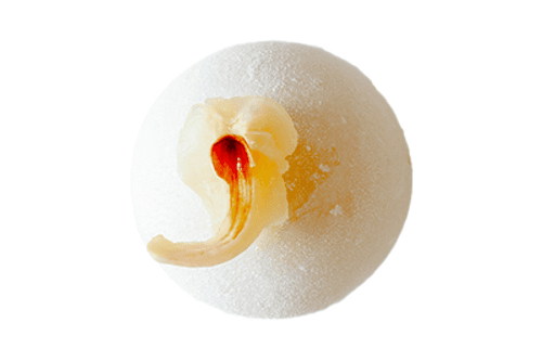 Mochi Litchee